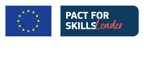 Digital Skilled Professionals support EU Pact for Skills