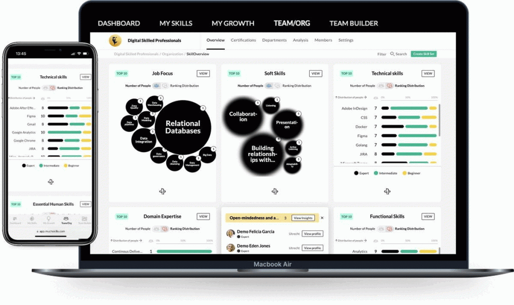 Modern Skills Dashboard vs Traditional Skills Matrix - Digital Skilled Professionals